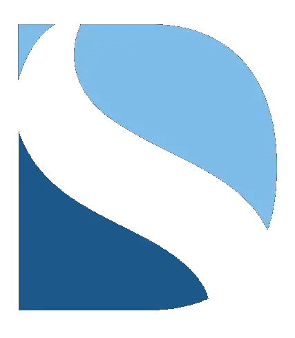 Digital Solway Logo